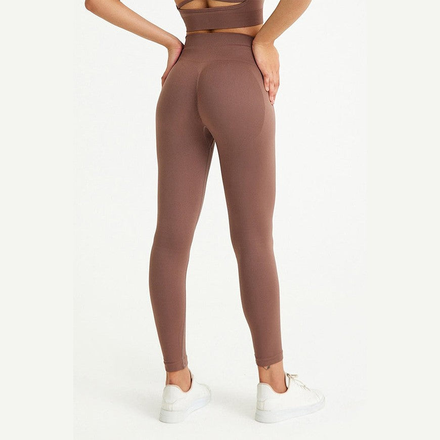 Seamless Sports Leggings